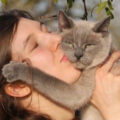 Pet Ancestry Calculator