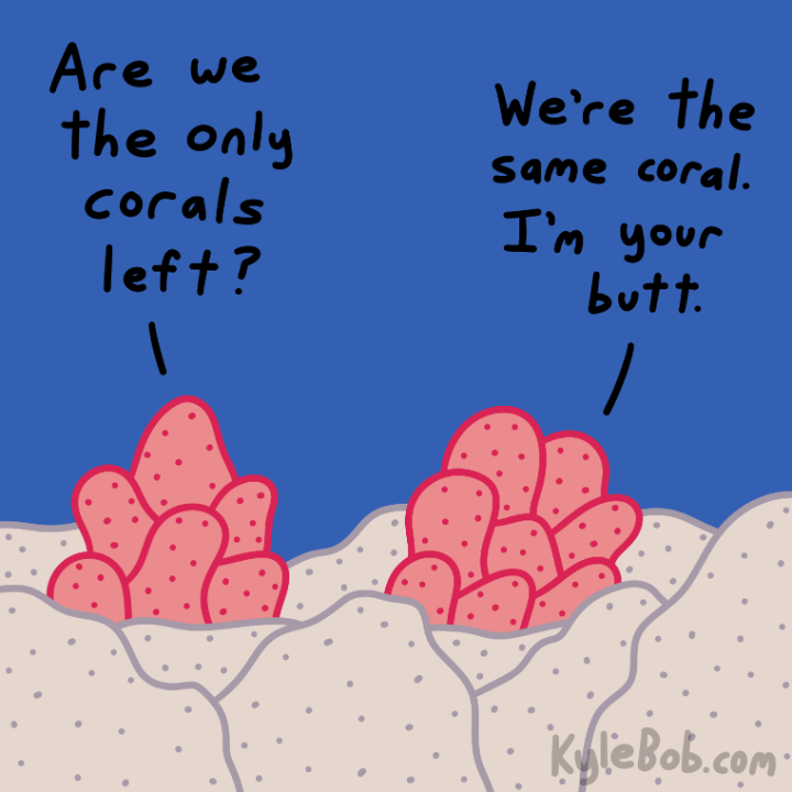 Coral Life Comic
