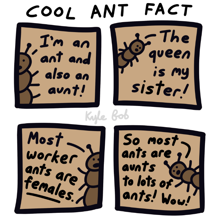 Cool Ant Fact Comic